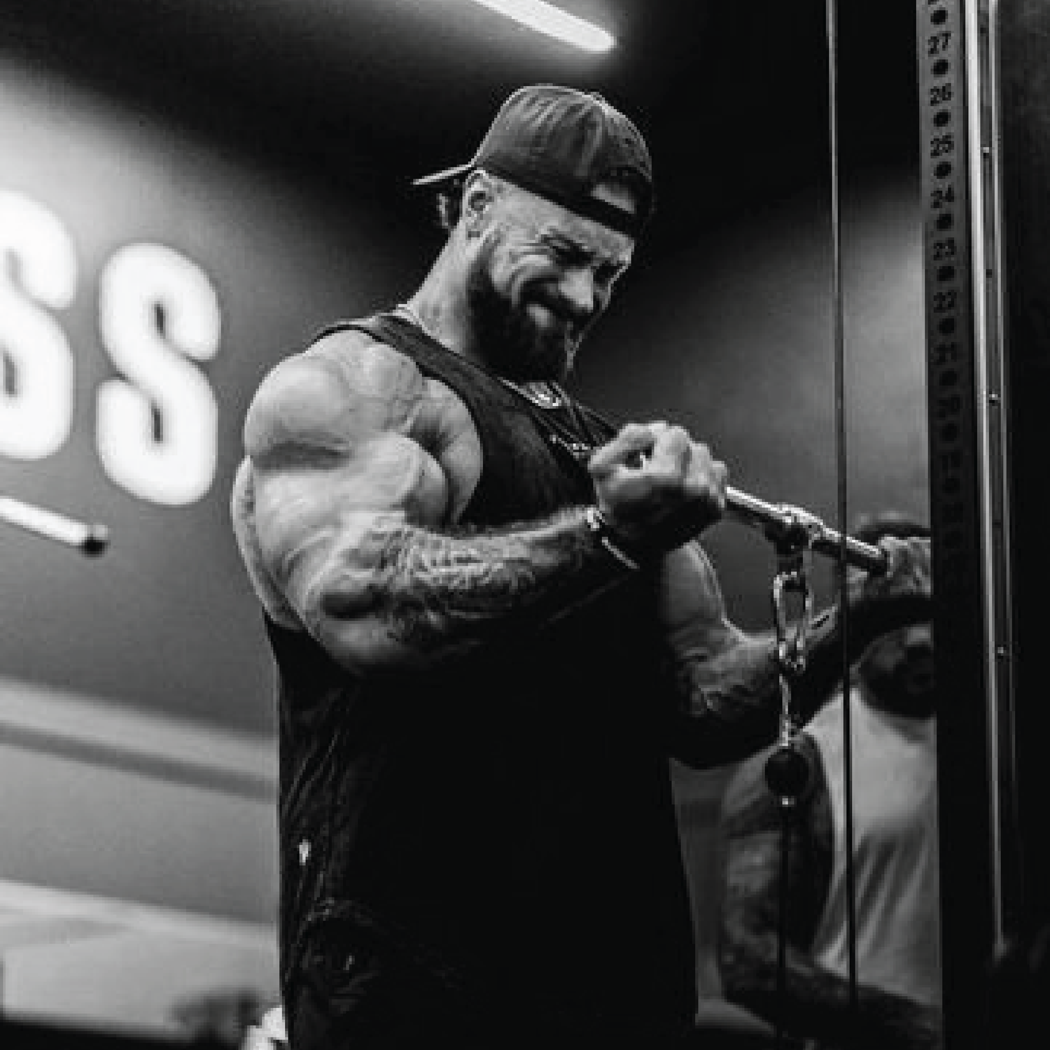 Musculation